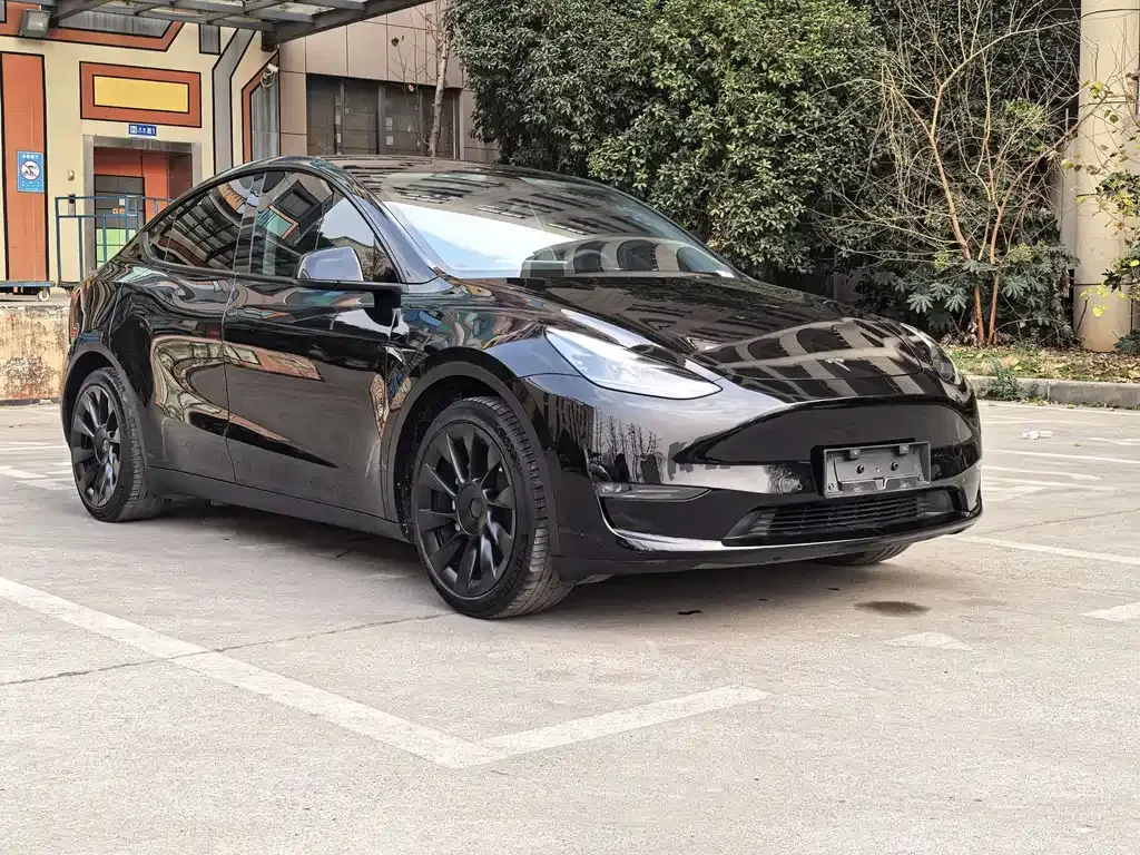 Tesla Model Y — фото 9
