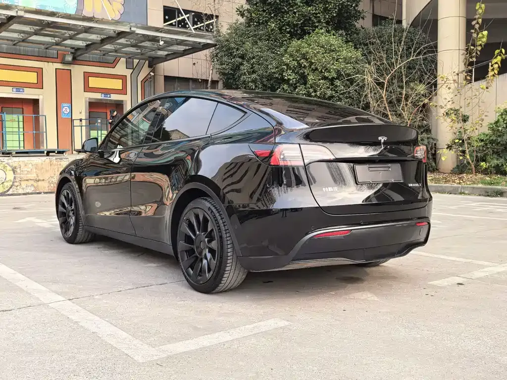 Tesla Model Y — фото 6