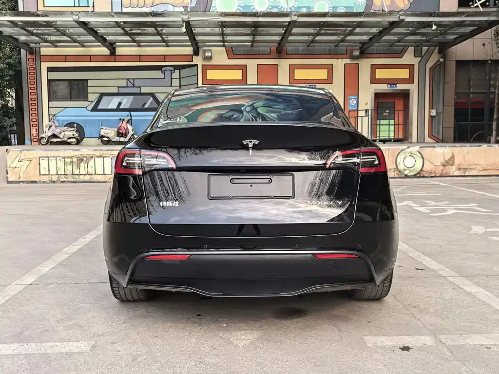 Tesla Model Y — фото 2