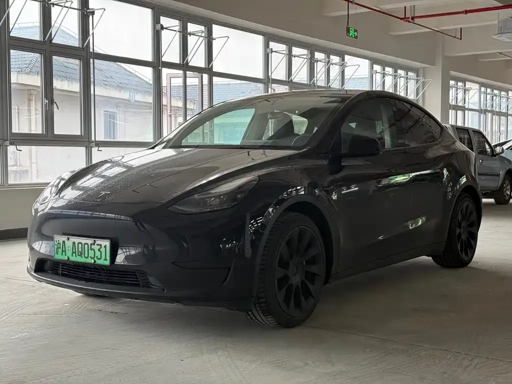 Tesla Model Y — фото 1