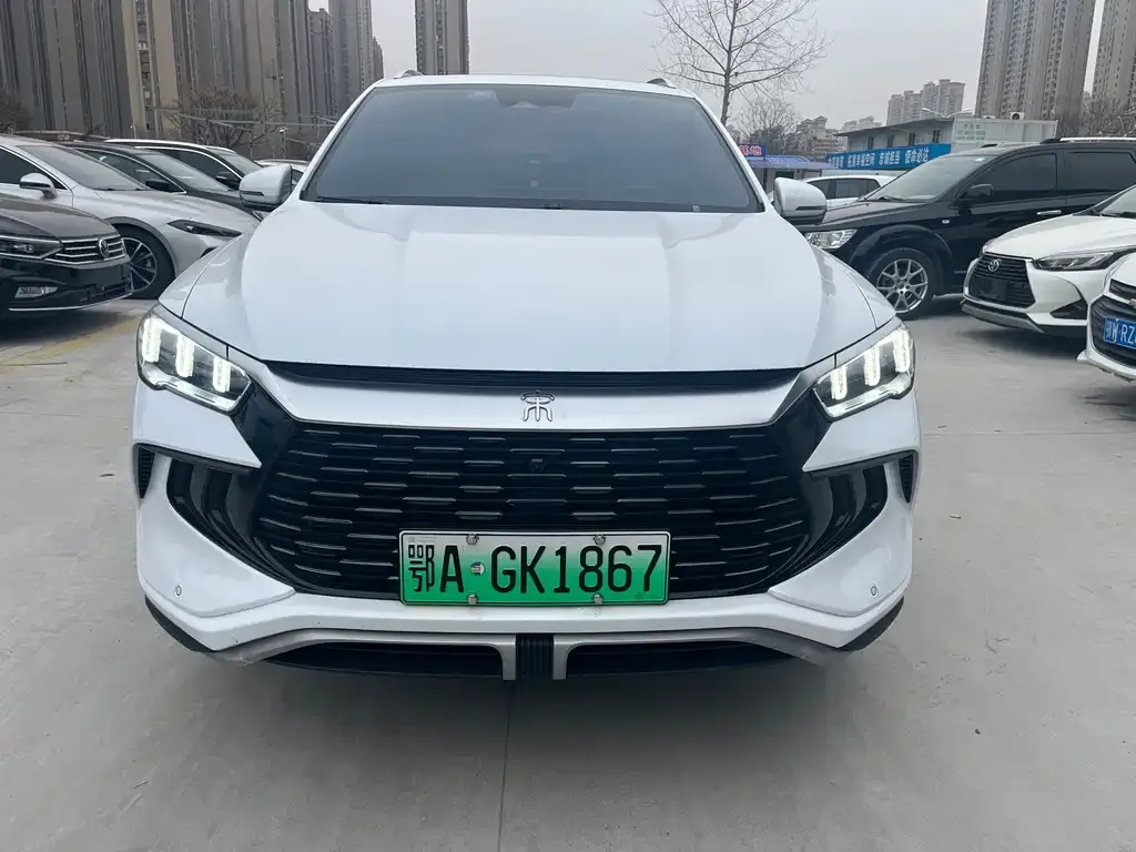 BYD Pro New Energy — фото 1