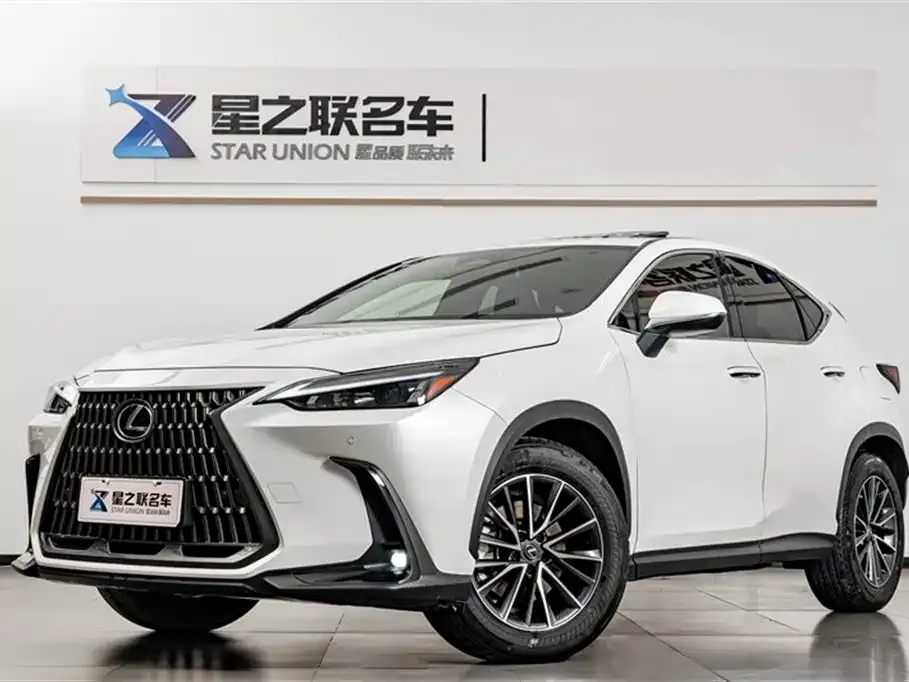 Lexus NX — фото 6