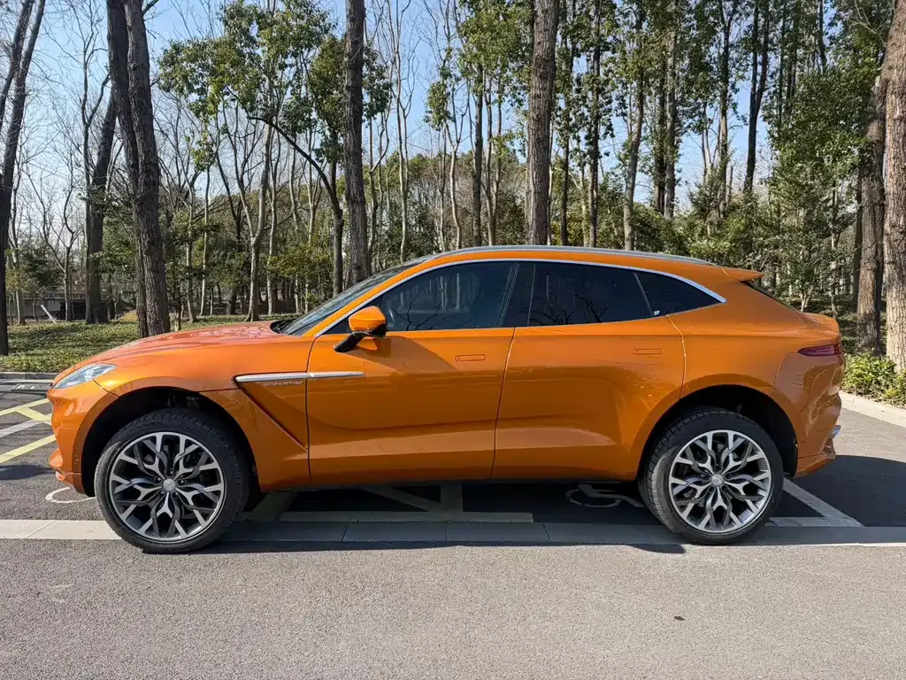 Aston Martin DBX — фото 4