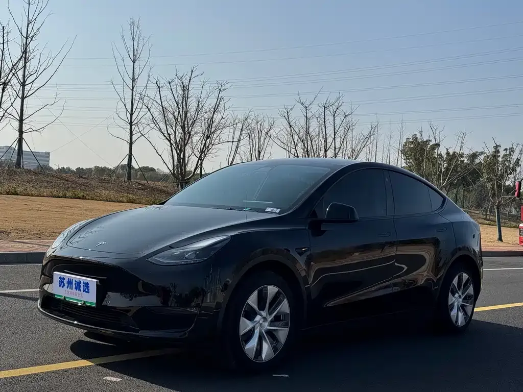 Tesla Model Y — фото 7