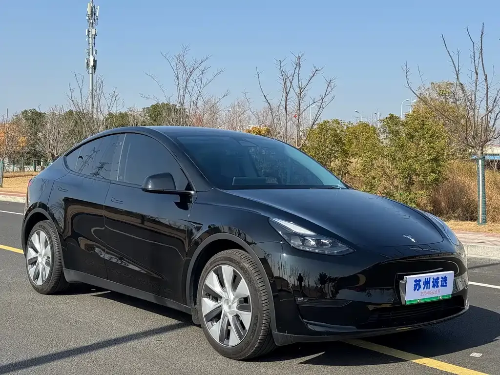 Tesla Model Y — фото 3