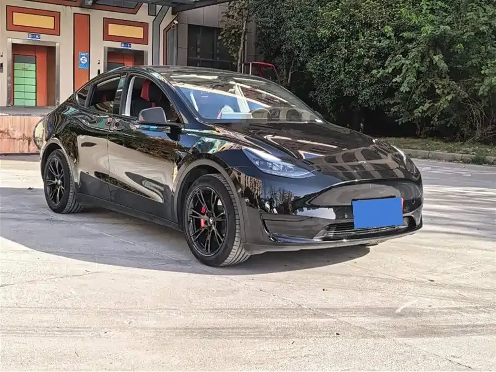 Tesla Model Y — фото 6