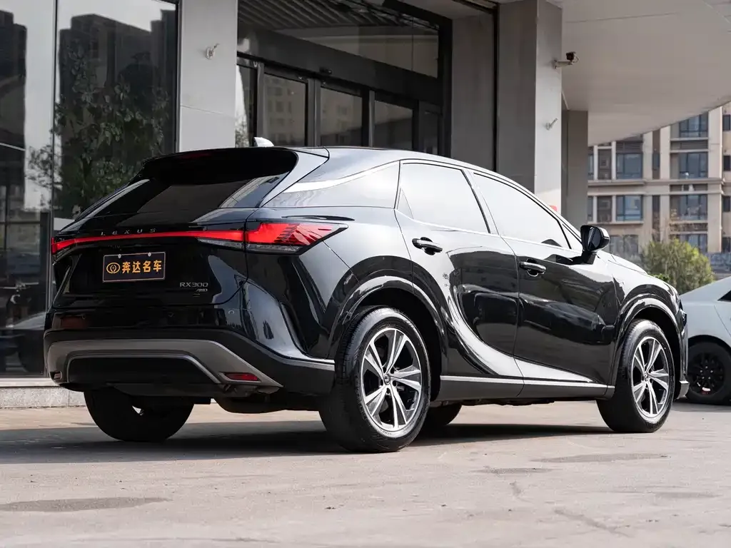 Lexus RX — фото 10