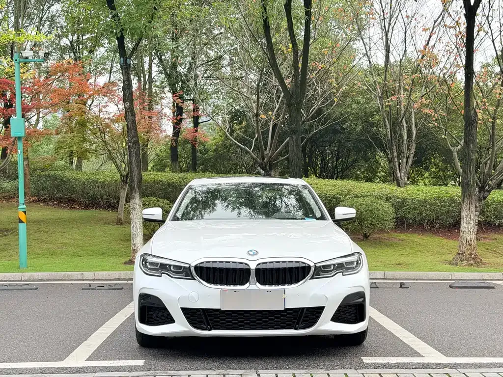 BMW 3 Series — фото 10