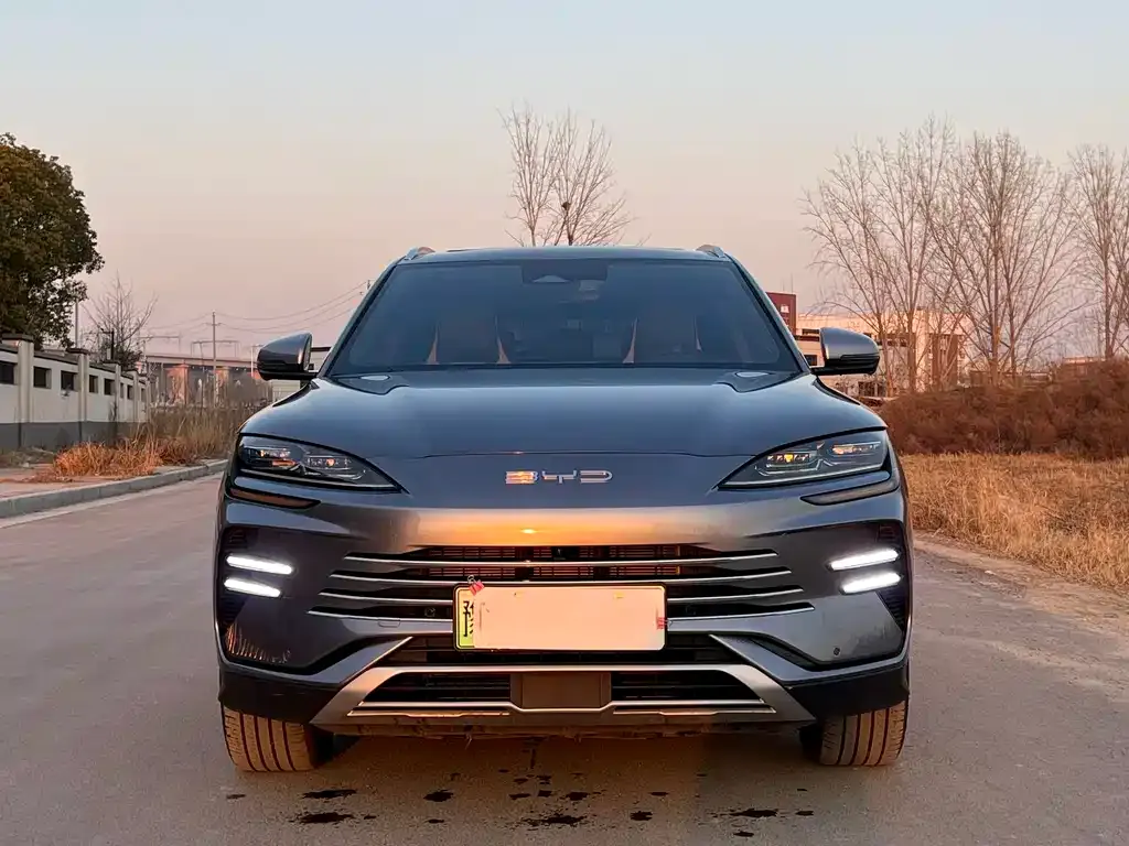 BYD PLUS New Energy — фото 2