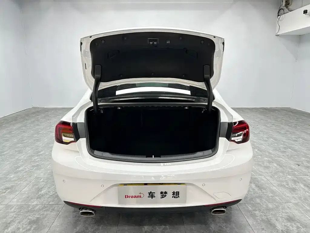 Buick Regal — фото 9