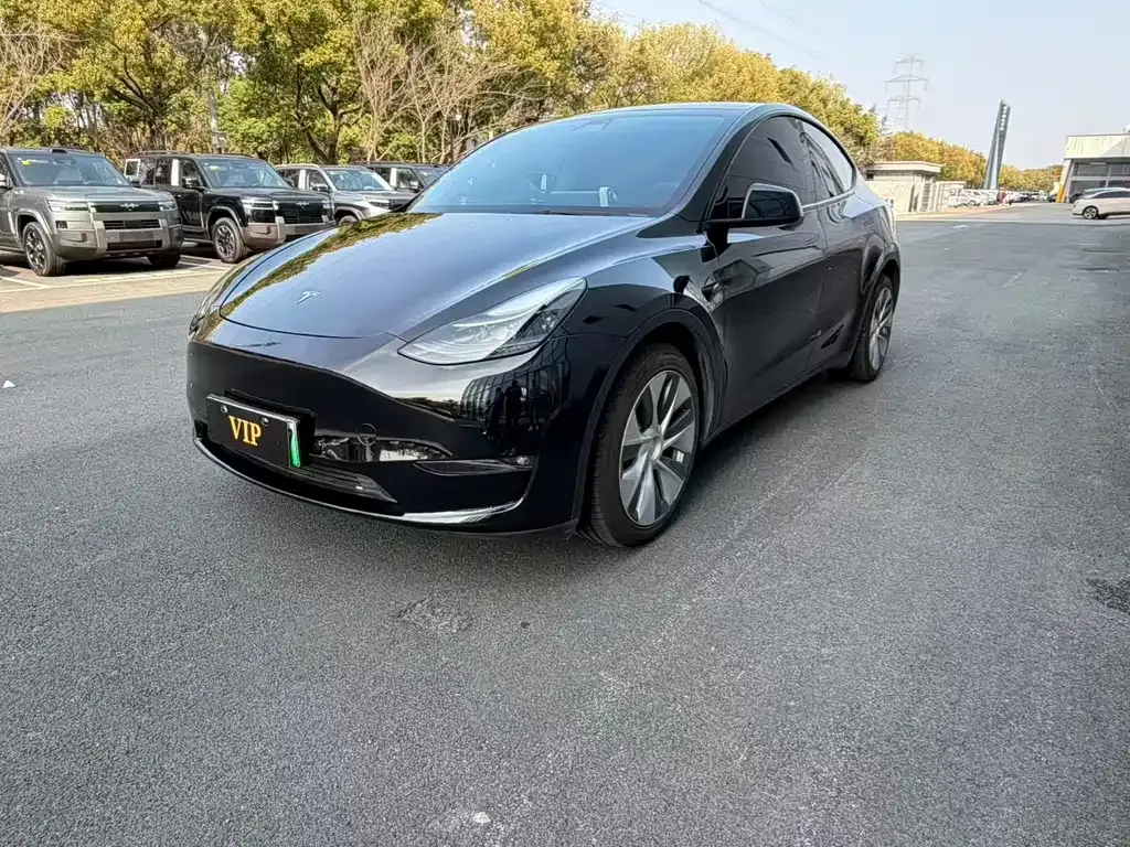 Tesla Model Y — фото 1
