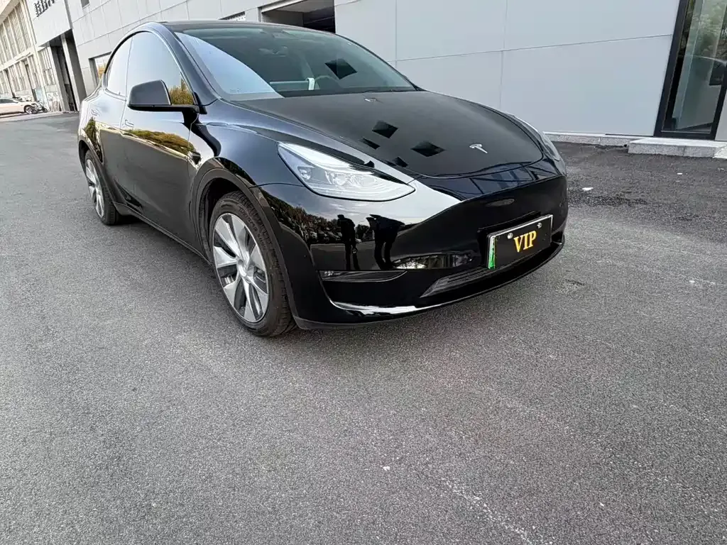 Tesla Model Y — фото 10