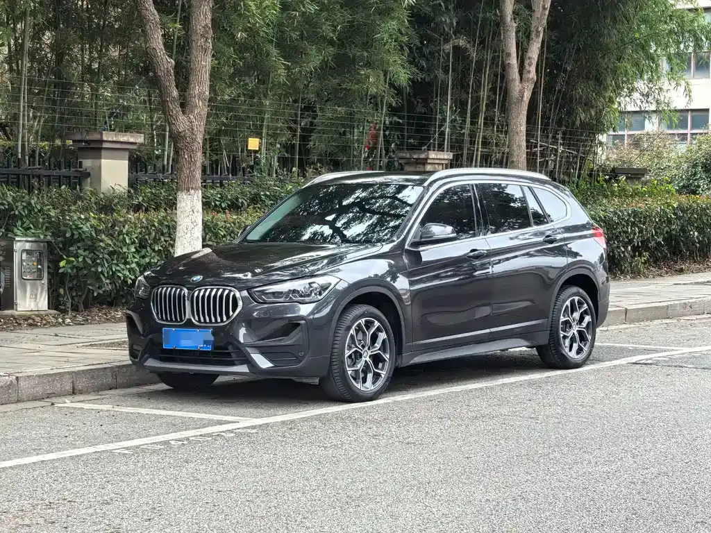 BMW X1 — фото 1