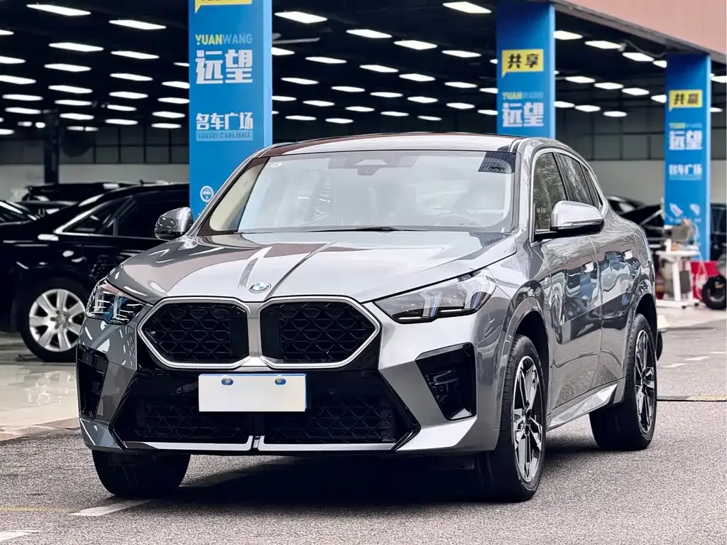 BMW X2 (Import) — фото 1