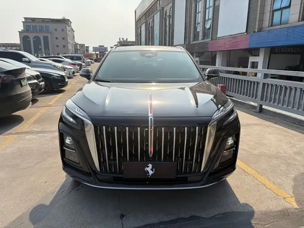 Hongqi HS3 — фото 10