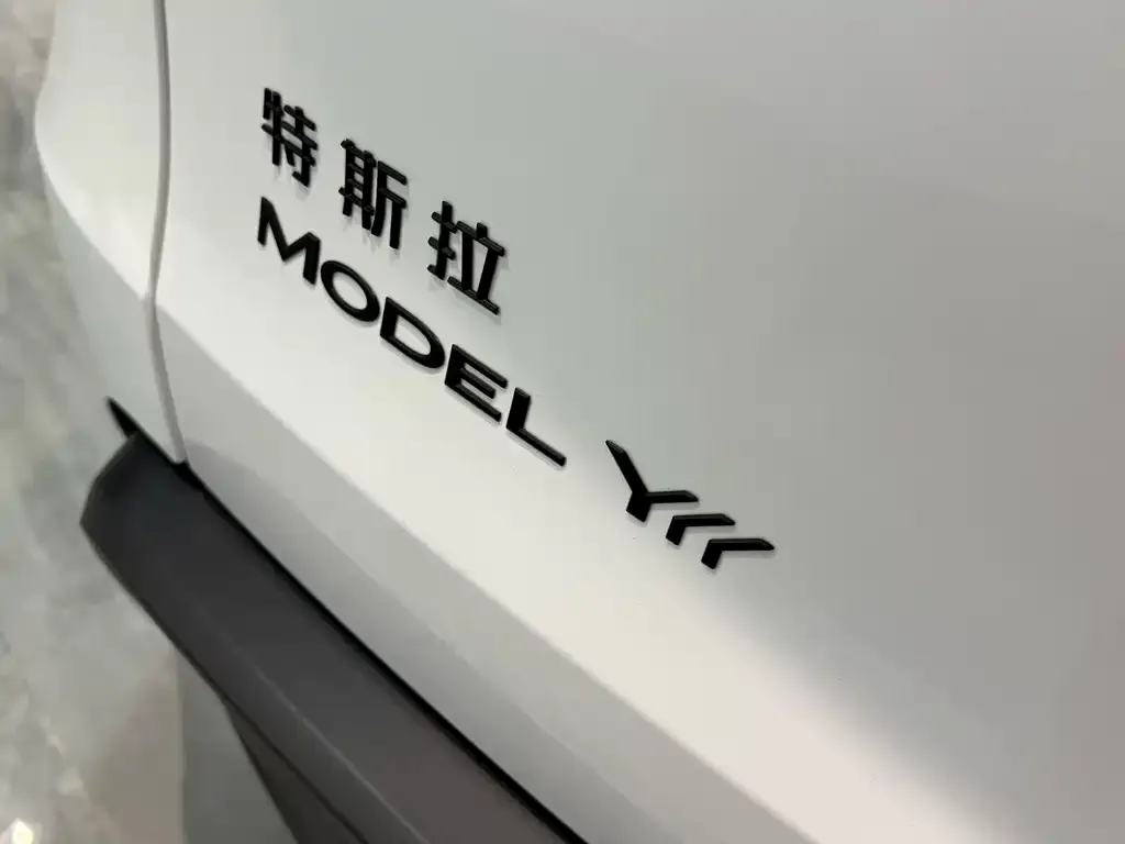 Tesla Model Y L — фото 2