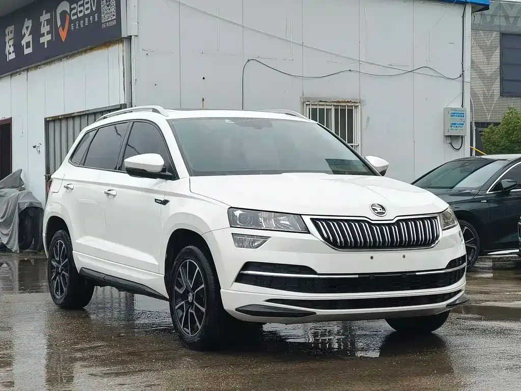 Skoda Karoq — фото 7