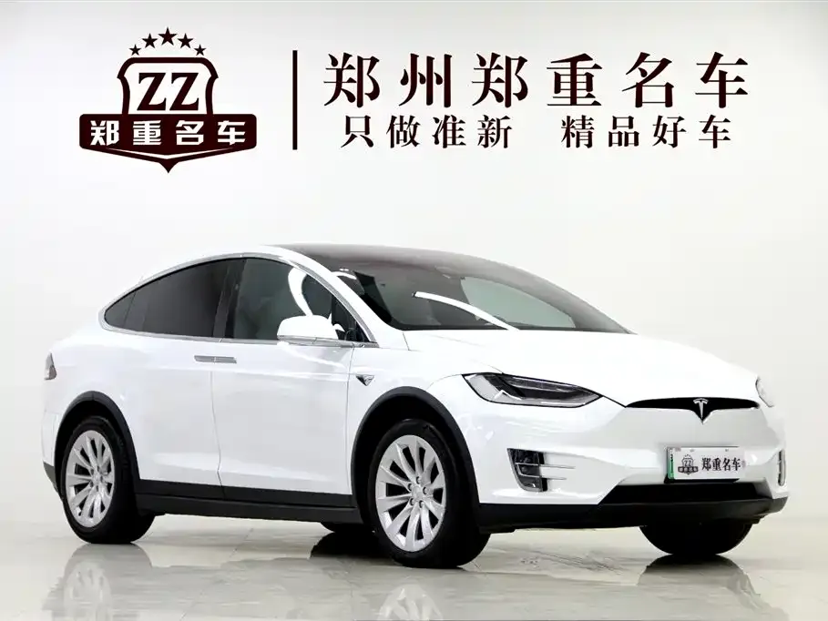 Tesla Model X — фото 7