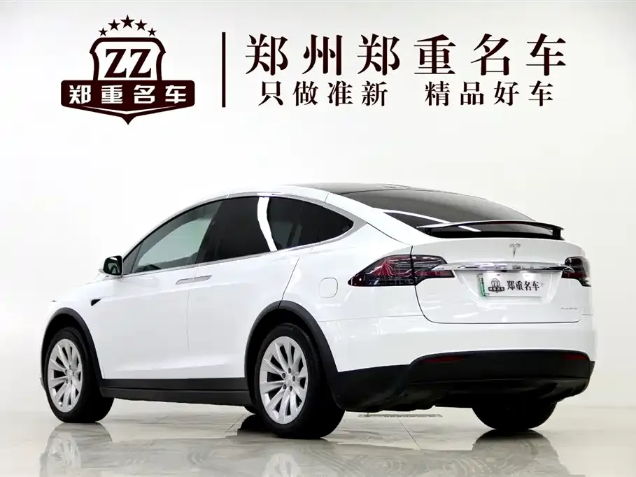 Tesla Model X — фото 9