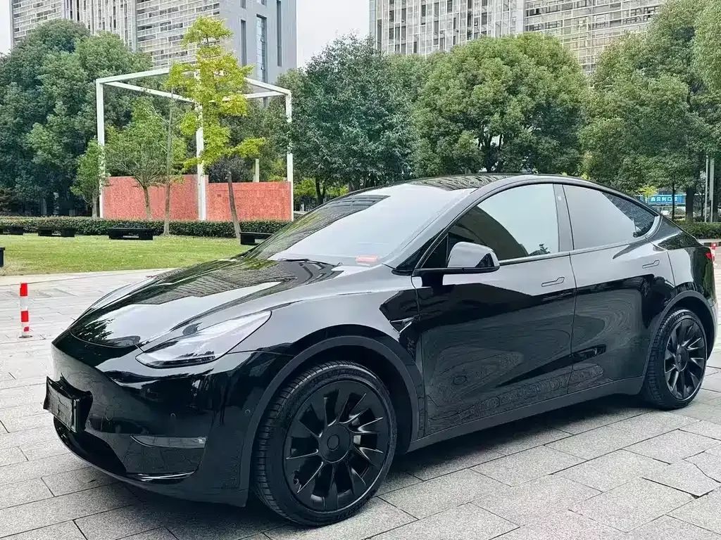 Tesla Model Y — фото 1