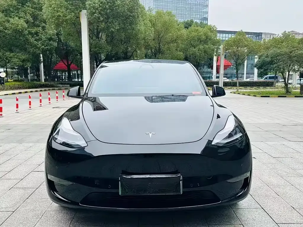 Tesla Model Y — фото 4