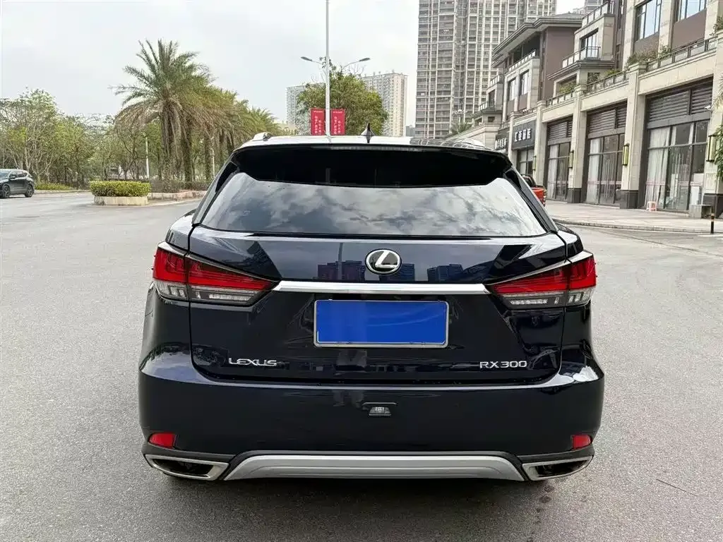 Lexus RX — фото 5