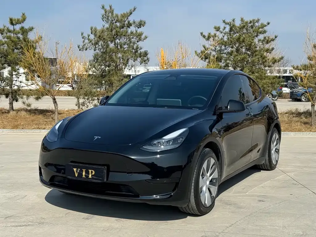 Tesla Model Y — фото 1