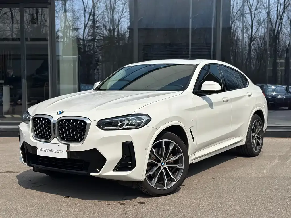 BMW X4 — фото 1