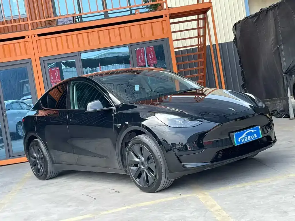 Tesla Model Y — фото 9