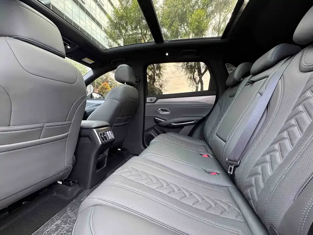 BYD L DM-i — фото 10