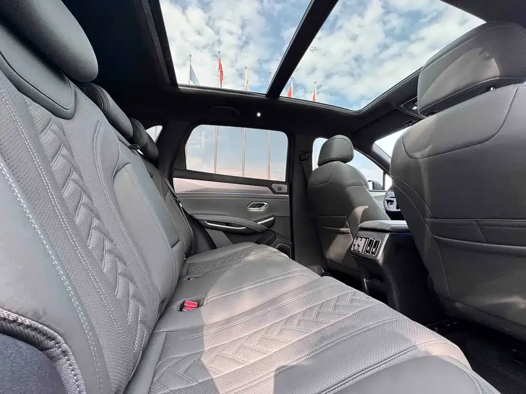 BYD L DM-i — фото 8