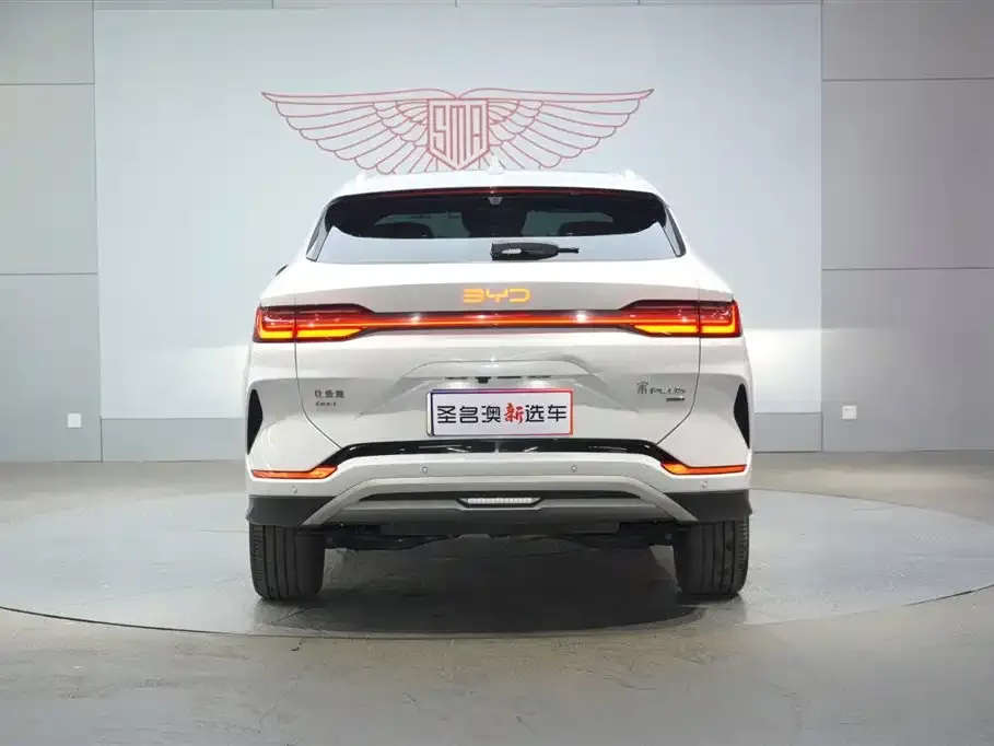 BYD PLUS New Energy — фото 10