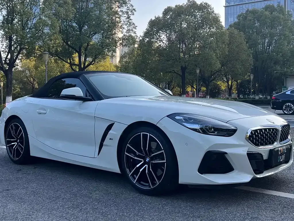 BMW Z4 — фото 10
