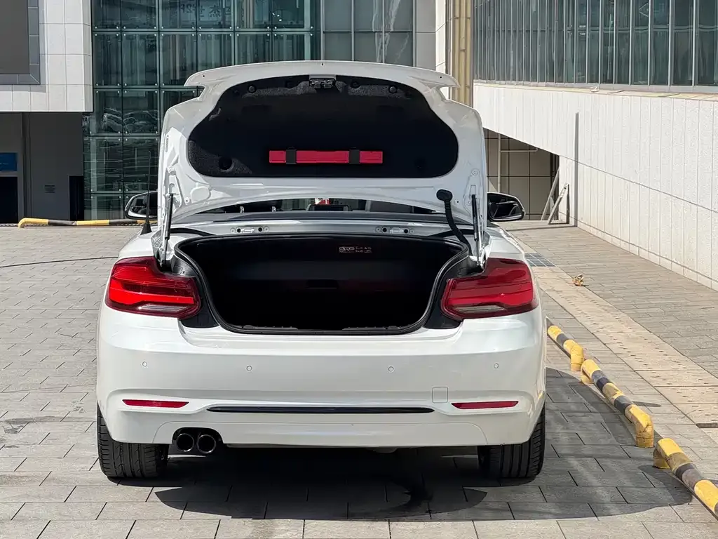 BMW 2 Series (Import) — фото 7