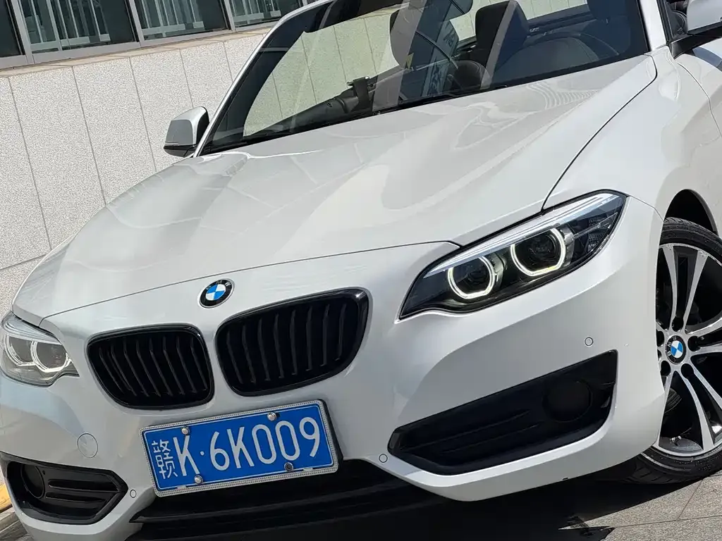 BMW 2 Series (Import) — фото 6