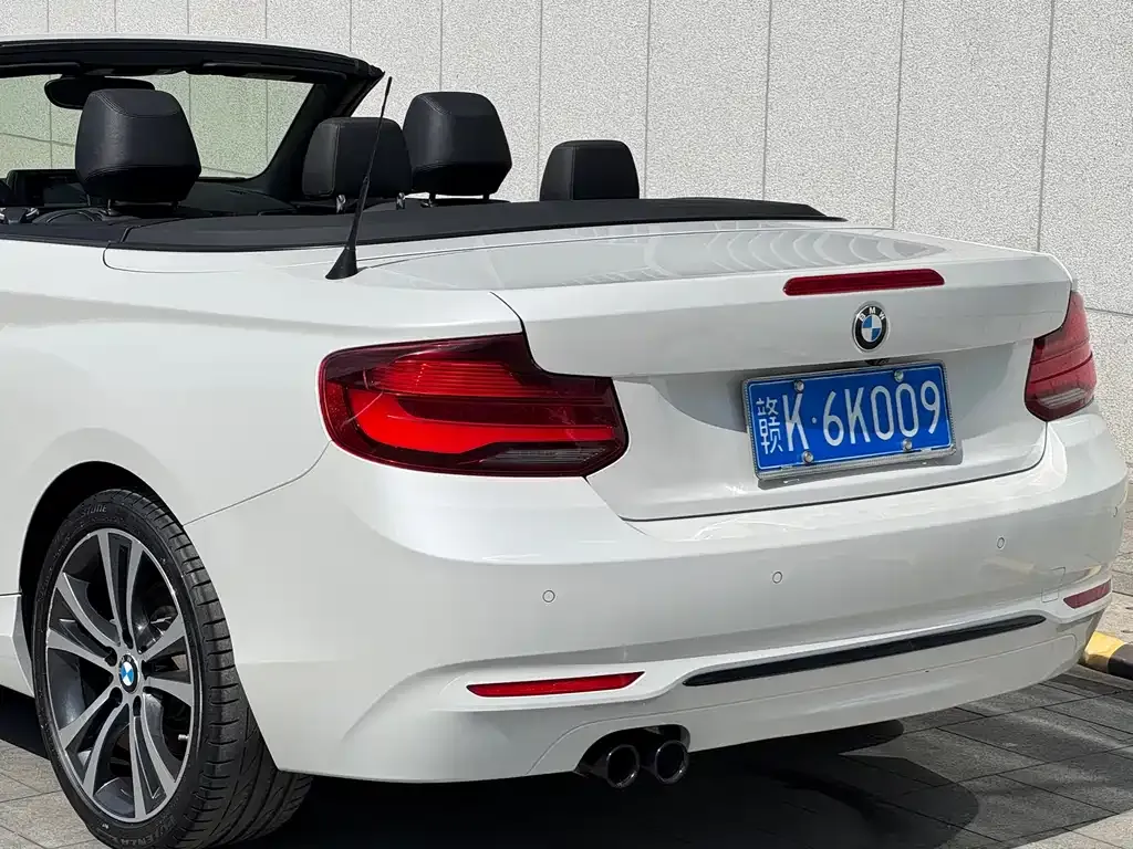 BMW 2 Series (Import) — фото 9
