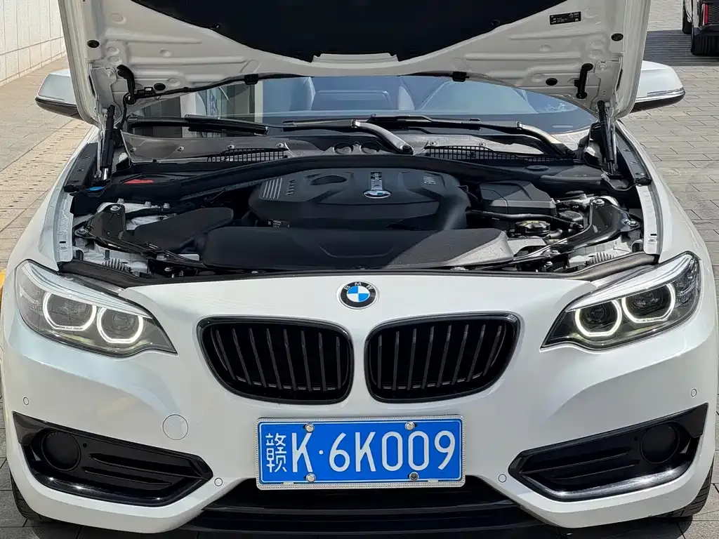 BMW 2 Series (Import) — фото 10