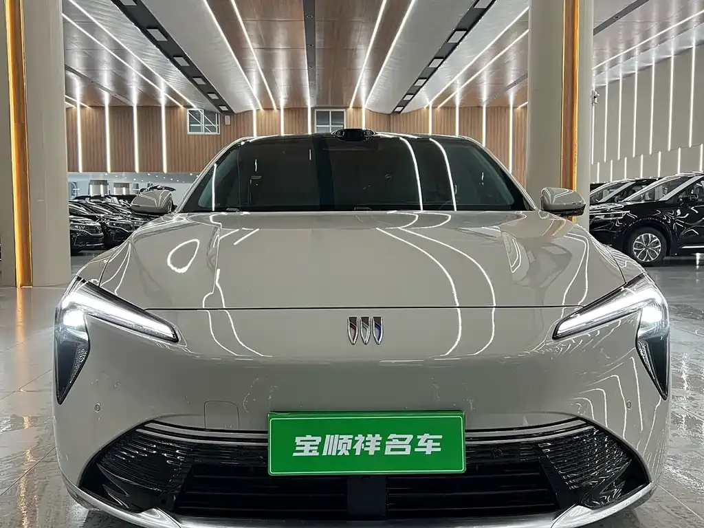 Buick Electra L7 — фото 8