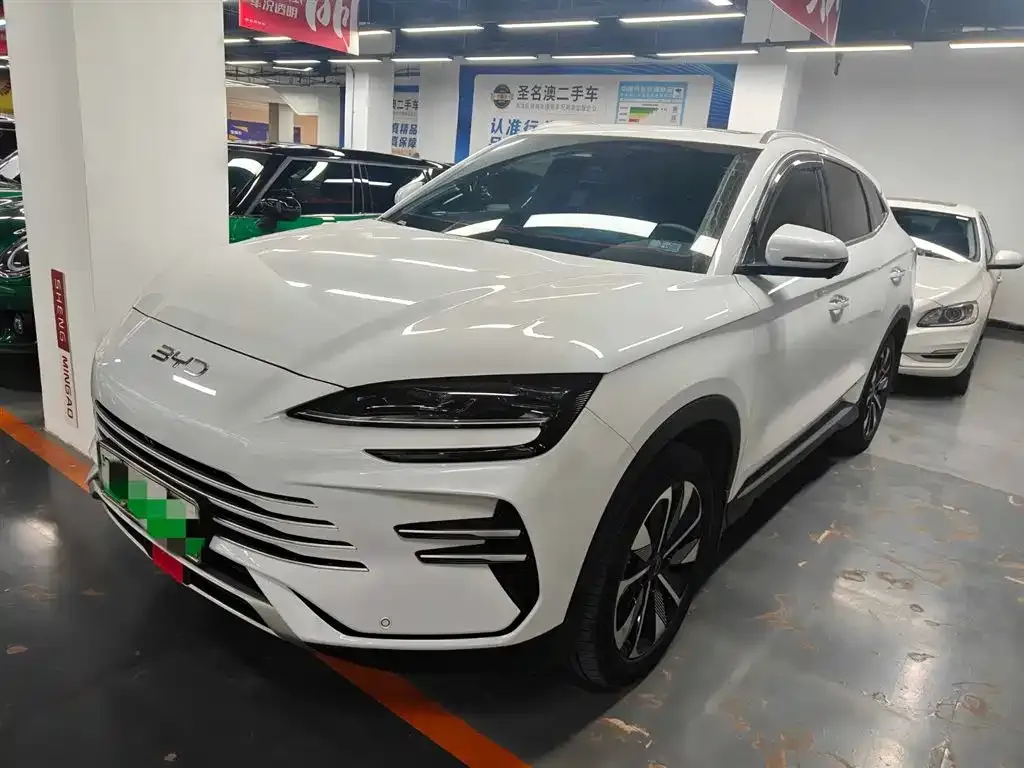 BYD PLUS New Energy — фото 1