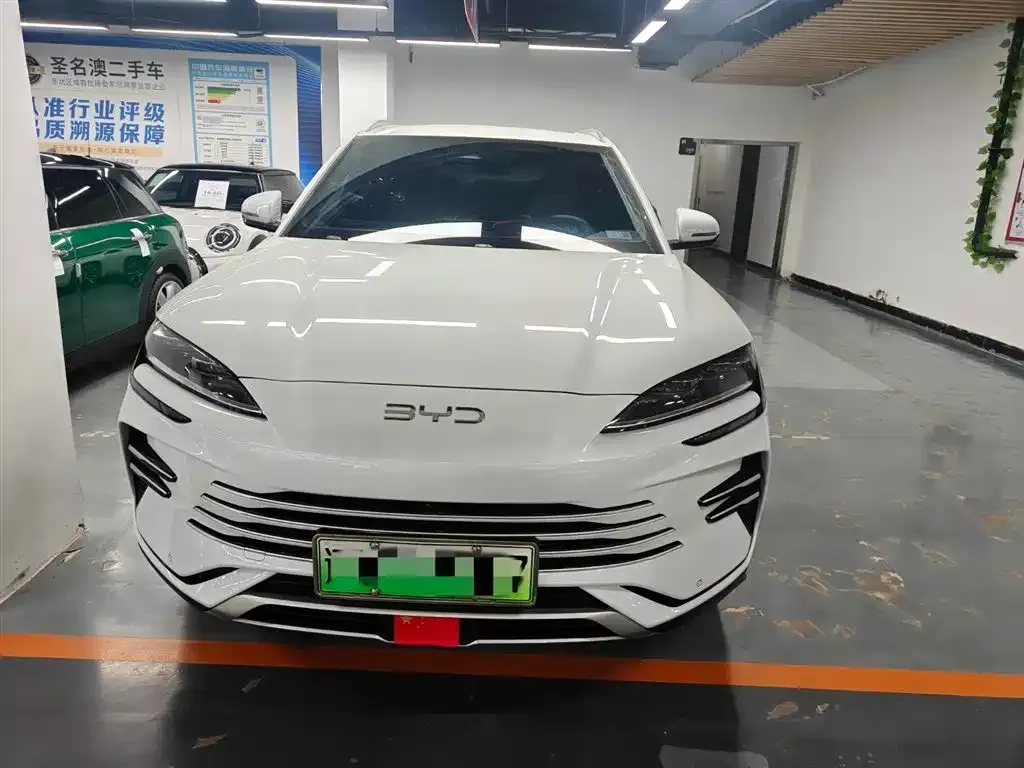 BYD PLUS New Energy — фото 4