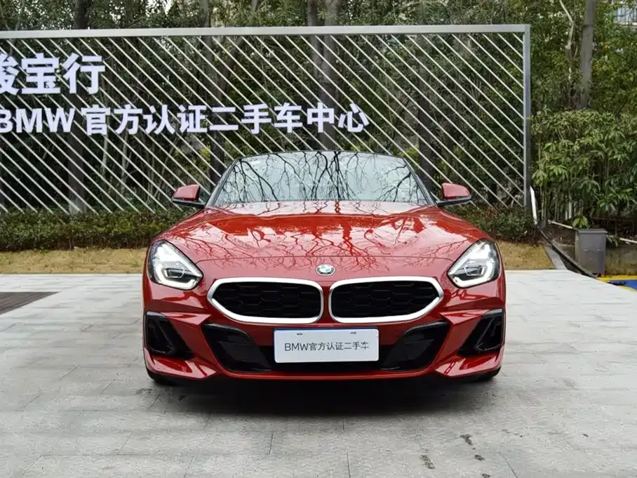 BMW Z4 — фото 10