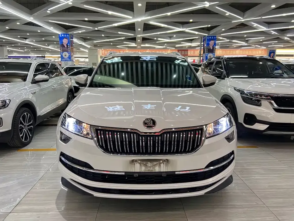 Skoda Karoq — фото 10