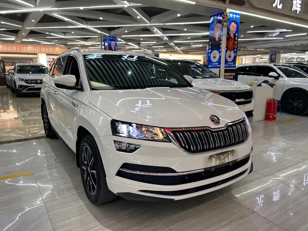 Skoda Karoq — фото 8