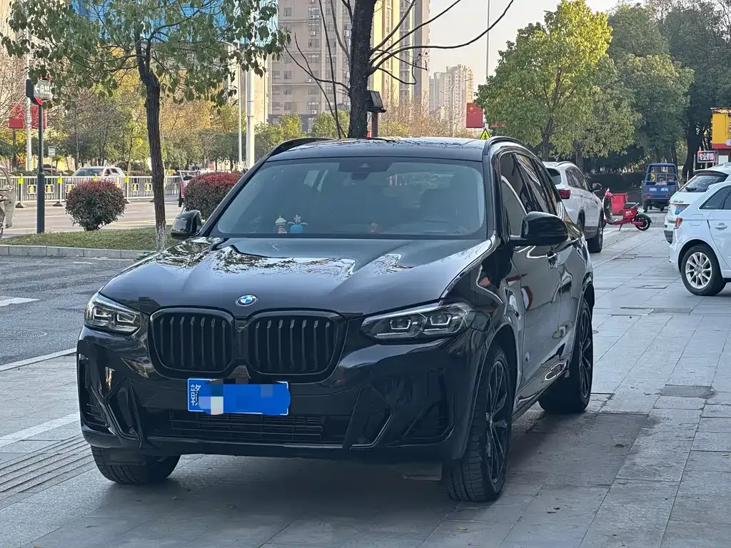 BMW X3 — фото 1