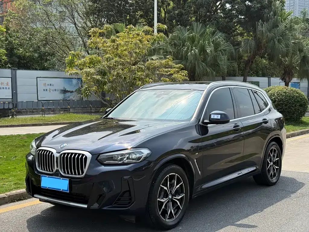 BMW X3 — фото 1