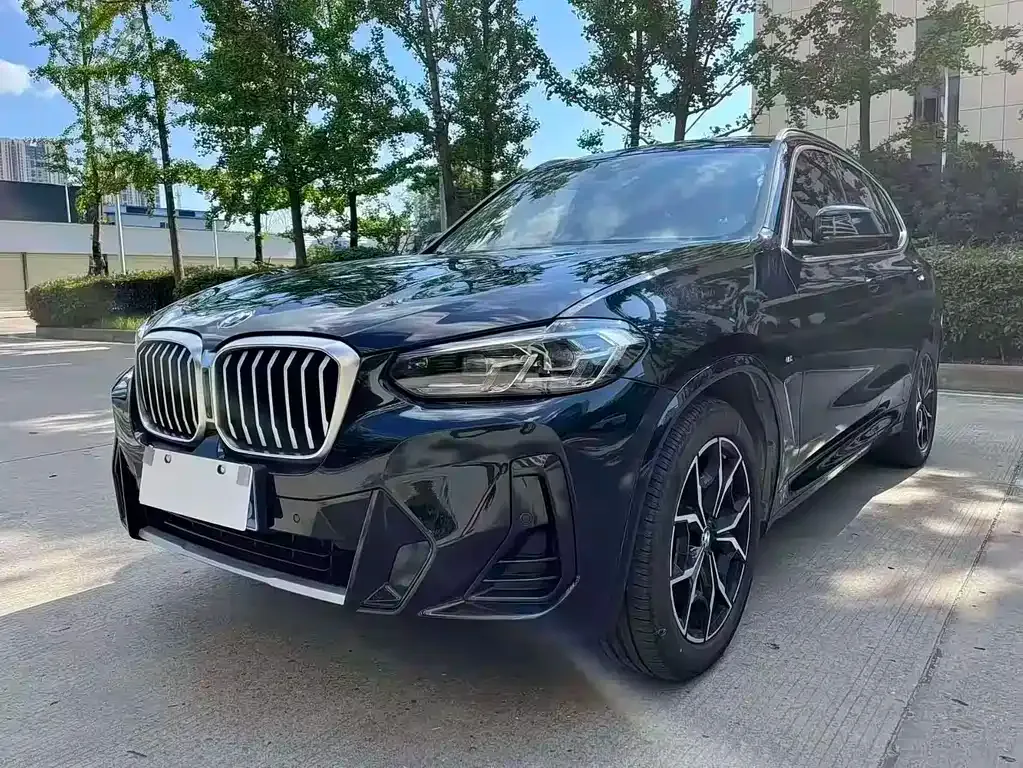BMW X3 — фото 1