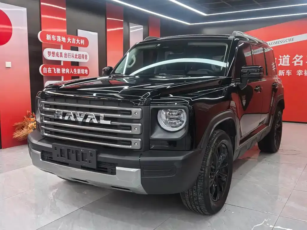 Haval Menglong New Energy — фото 1