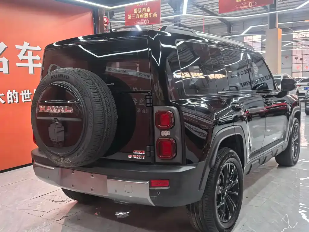 Haval Menglong New Energy — фото 10