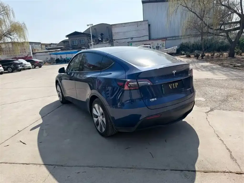 Tesla Model Y — фото 2