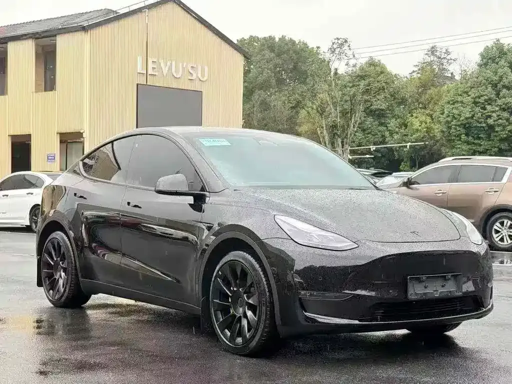 Tesla Model Y — фото 2